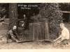 sawing-stumps