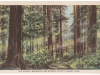 rn_pcard_31a