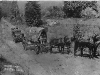 wagon